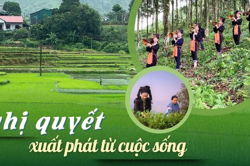 Nghị quyết xuất phát từ cuộc sống