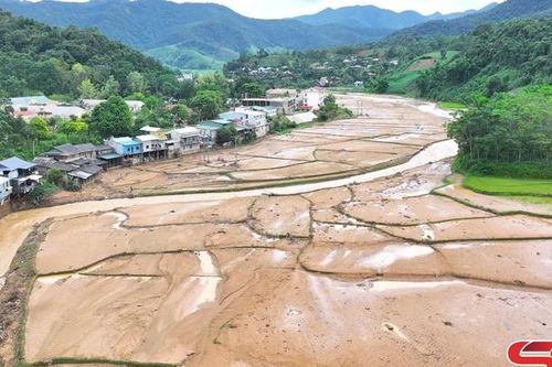 Chung tay giúp đỡ xã Mường Lạn khắc phục hậu quả mưa lũ