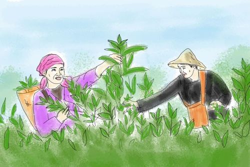 Vui cùng đồng ruộng