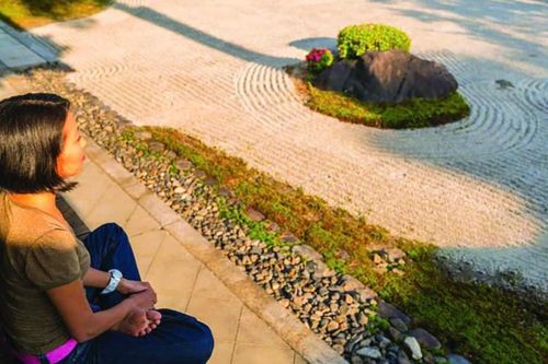 Lá xanh giữa dòng đời vội vã