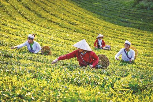 Mô hình tích hợp 'di sản – kinh tế xanh – đổi mới sáng tạo' trong xây dựng thương hiệu tỉnh Phú Thọ