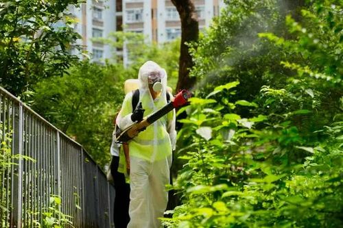 Bùng phát dịch Chikungunya bất thường tại Trung Quốc