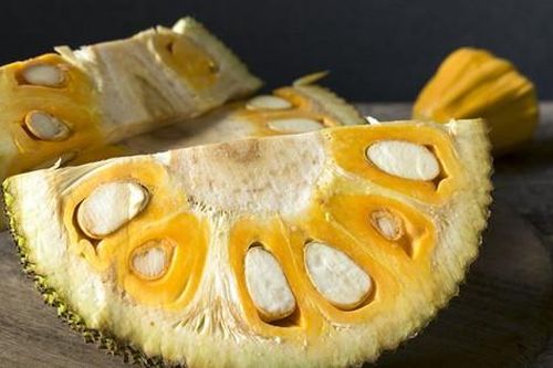Bất ngờ bộ phận của quả mít người Nhật 'quý như vàng', giúp hỗ trợ giảm đường huyết hiệu quả ở người tiền tiểu đường