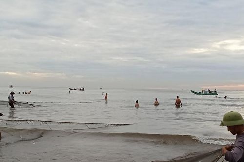 Sớm mai ra biển
