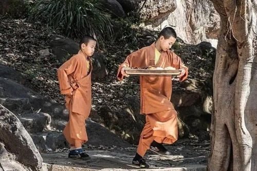 30 nhà sư Thiếu Lâm Tự 'tháo chạy' vì quy tắc 996 của trụ trì mới?