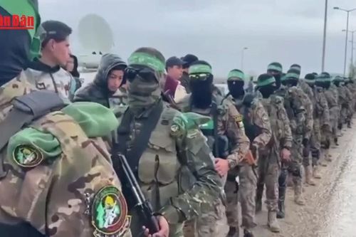 Dư luận quốc tế phản đối kế hoạch kiểm soát Dải Gaza của Israel