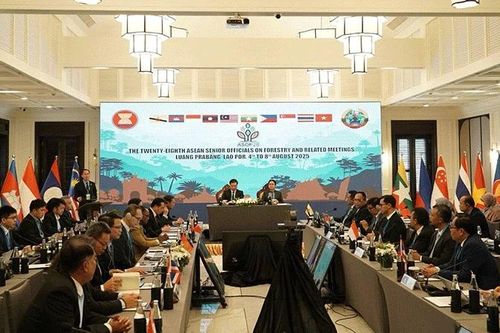 Lào thúc đẩy nỗ lực bảo vệ rừng bền vững trong ASEAN