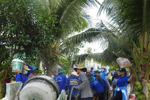 Hạt giống đỏ từ Mùa hè xanh - Bài 2: Trách nhiệm trên vai người trẻ