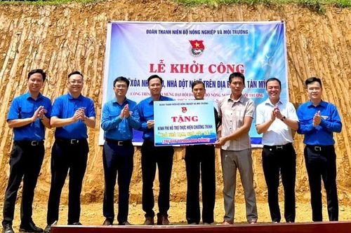 Sôi nổi chiến dịch Kỳ nghỉ hồng, Mùa hè xanh ở Tuyên Quang