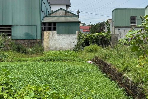 Bỏ 500 triệu tiết kiệm mua đất không sổ đỏ, vợ chồng tan giấc mơ đổi đời