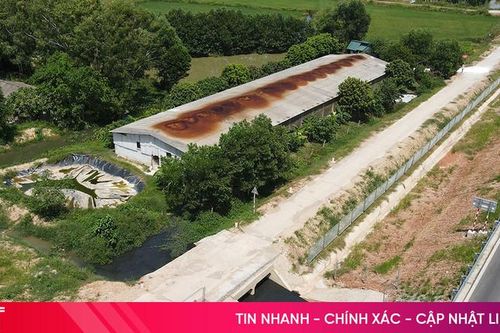 Sớm xử lý ô nhiễm tại trang trại nuôi 300 con lợn ở phường Hà Huy Tập