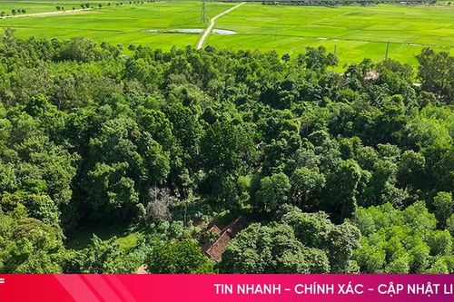 Ngôi làng nhỏ kể chuyện giữ 'lá phổi xanh'