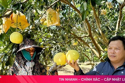 Phát triển nông nghiệp thích ứng với biến đổi khí hậu