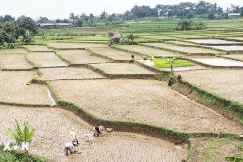 APEC kêu gọi nỗ lực an ninh lương thực toàn cầu vì tương lai bền vững
