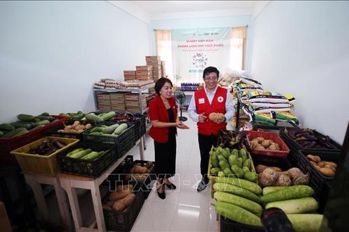 Đà Nẵng: Ra mắt Ngân hàng Thực phẩm cho người yếu thế