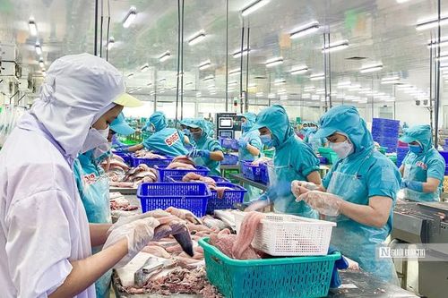 Doanh nghiệp thủy sản tăng tốc, nhưng 'bài toán Mỹ' vẫn là ẩn số lớn