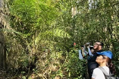 Stress và những hệ lụy sức khỏe: Du lịch chữa lành - Giải pháp phục hồi tinh thần (Bài cuối)