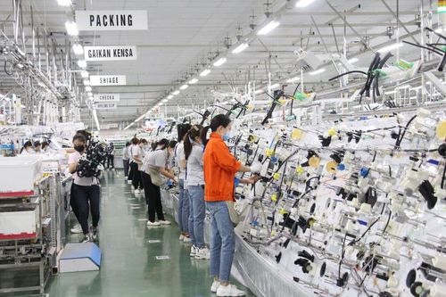 Quảng Ninh triển khai nhiều giải pháp hỗ trợ doanh nghiệp xuất nhập khẩu