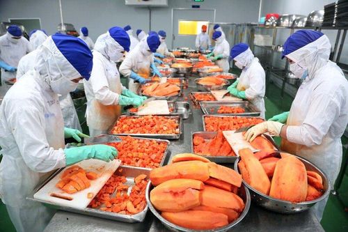 Đề xuất xây trung tâm chuyển giao công nghệ thực phẩm