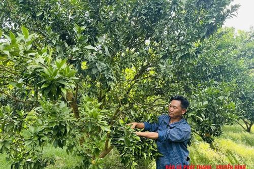 Làm giàu từ phát triển kinh tế tổng hợp