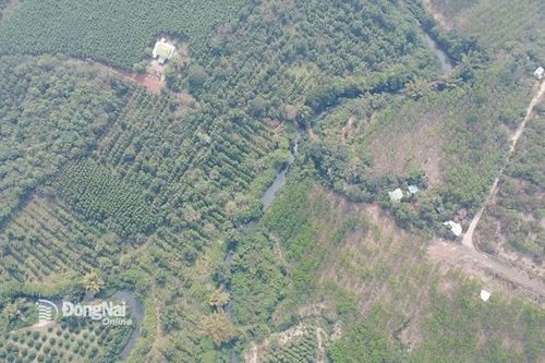 Công ty Đại Quang Minh đề nghị được lập hồ sơ đề xuất dự án xây dựng tuyến đường kết nối