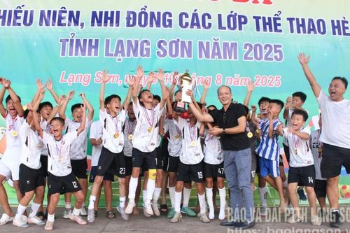 Giải bóng đá thiếu niên, nhi đồng các lớp thể thao hè tỉnh thành công tốt đẹp