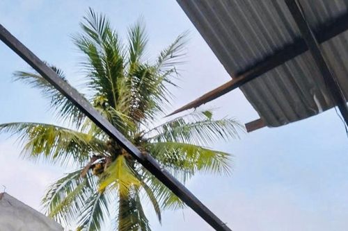 Lâm Đồng: 34 căn nhà bị tốc mái do mưa đá kết hợp lốc xoáy, ước thiệt hại trên 1 tỷ đồng