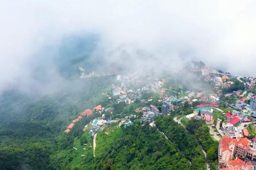 Tam Đảo - Kỳ tích thăng hoa từ mây ngàn và khát vọng
