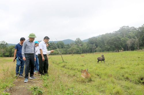 Tăng cường công tác bảo tồn và phát huy giá trị đa dạng sinh học tại Vườn Quốc gia Kon Ka Kinh