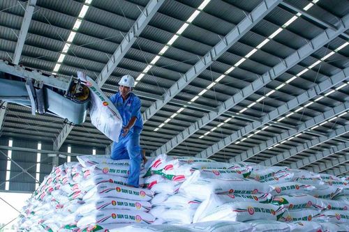 PVCFC bứt phá tài chính, tăng trưởng vượt kỳ vọng