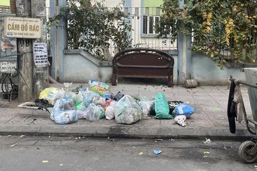 Lộ trình cấm sử dụng túi nilon và đồ nhựa dùng một lần: Quyết tâm xây dựng cuộc sống xanh, bền vững