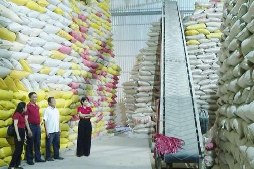 Vốn Agribank, đòn bẩy cho nông hộ
