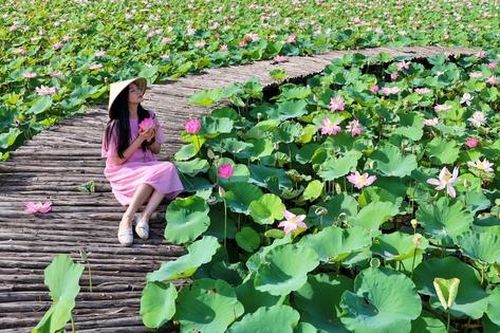 Ninh Bình được vinh danh trong cẩm nang khám phá các điểm đến viên ngọc ẩn Đông Nam Á