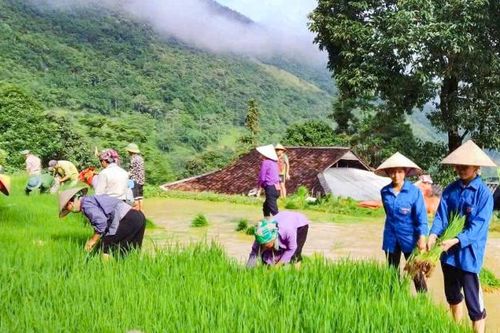 Xây dựng đội ngũ thanh niên giàu trí tuệ, bản lĩnh, trách nhiệm