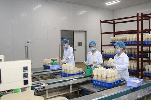 Hà Nội: Chuẩn hóa nghiệp vụ đo lường, chất lượng cho đội ngũ cơ sở