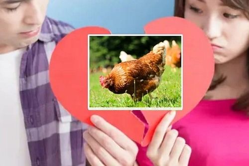 Vợ chồng chia tài sản ly hôn là 29 con gà, tòa phán quyết vừa khéo vừa hài