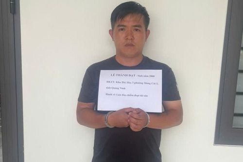 Giả là nhân viên ngân hàng để lừa đảo chiếm đoạt gần 700 triệu đồng