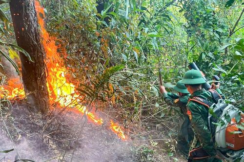 Khống chế kịp thời vụ cháy rừng phòng hộ ở Đèo Ngang