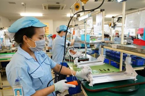 AI và cơ hội vàng để Việt Nam bứt phá trong kỷ nguyên số