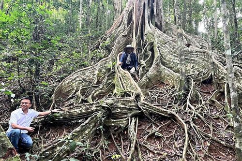 Gia Lai: Phát triển du lịch Vườn Quốc gia Kon Ka Kinh