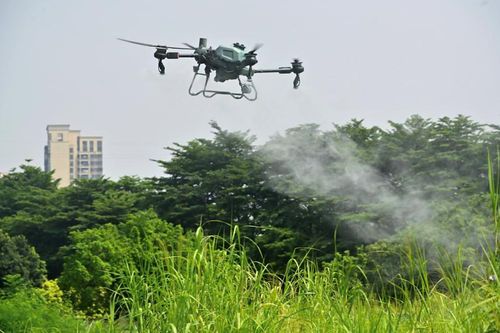 Máy bay không người lái huy động tới chống dịch bệnh Chikungunya tại Trung Quốc