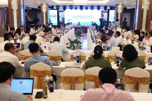 Nhiều giải pháp ứng phó với biến đổi khí hậu tại Việt Nam