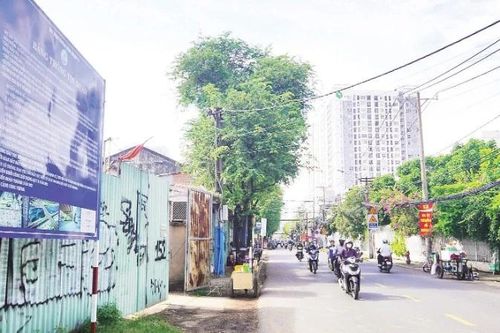 Đẩy nhanh tiến độ dự án cầu, đường Nguyễn Khoái