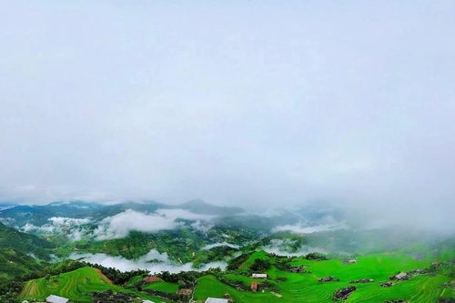 Độc đáo ruộng bậc thang Bản Phùng