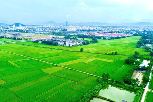 Những khu tái định cư đường sắt cao tốc Bắc - Nam tại TP Huế