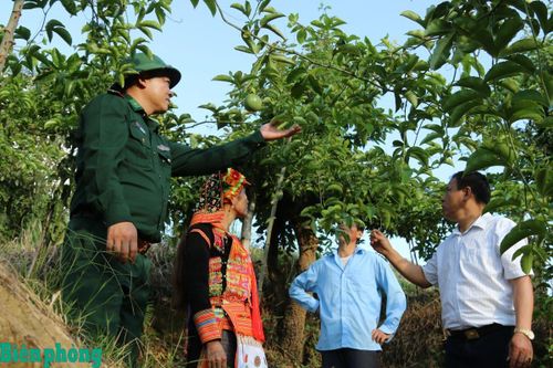 Thúc đẩy xuất khẩu mặt hàng có lợi thế cạnh tranh: Khai thác giá trị khác biệt để vươn xa