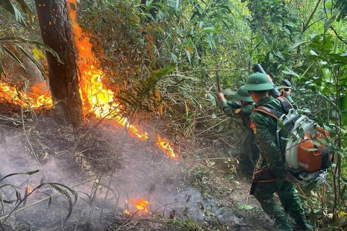Đồn Biên phòng Roòn tham gia chữa cháy rừng phòng hộ