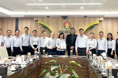 PVCFC đạt chuẩn quốc tế về kiểm toán nội bộ, khẳng định năng lực quản trị tiên tiến