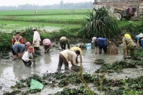 Chia tài sản sau ly hôn: Vợ đòi tát ao bắt cá chia đôi