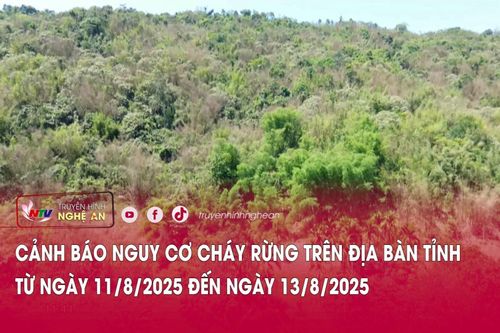 Cảnh báo nguy cơ cháy rừng trên địa bàn tỉnh Nghệ An từ ngày 11/8/2025 đến ngày 13/8/2025